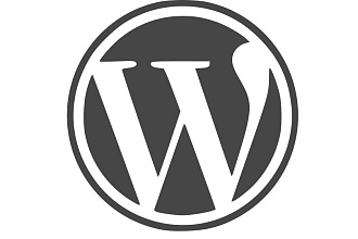 Wordpress developer