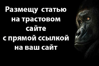 Размещу статью на сайте
