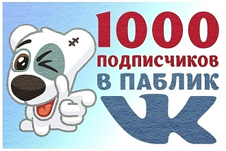 1000 подписчиков в паблик вконтакте