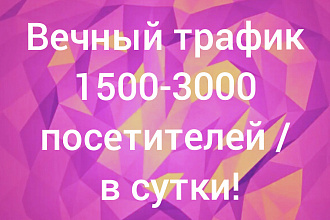 Привлеку качественный трафик от 1500 до 3000 в день навсегда