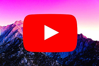 2000 просмотров на youtube
