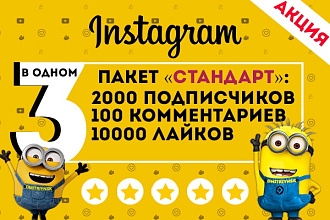 Все самое нужное для Instagram. Вывод в топ. Пакет Стандарт
