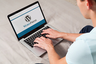 Интернет сервис на CMS WordPress + Elementor