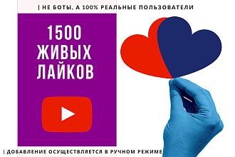 +1500 лайков от живых подписчиков youtube