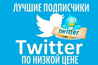 Twitter Подписчики, фолловеры 200 человек