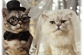 Оригинальное свадебное поздравление