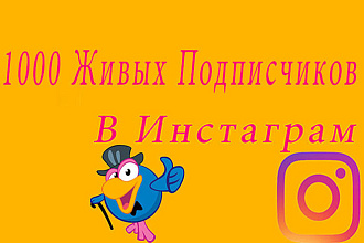 1000 Живых Подписчиков На Инстаграм Аккаунт