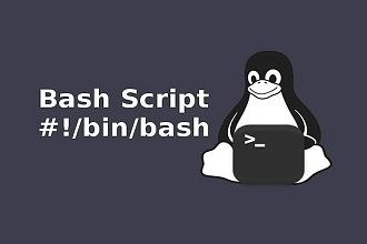 Bash скрипт, экспертный уровень