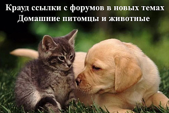 15 крауд ссылок с форумов в ветках о животных, домашних питомцах