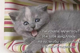 Напишу 20 комментариев к Вашим статьям, на форуме, сайте