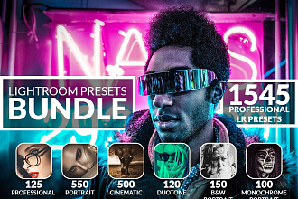 1500 Комплект профессиональных пресетов Lightroom