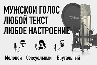 Мужской голос озвучит любой текст. Строго, игриво, как угодно