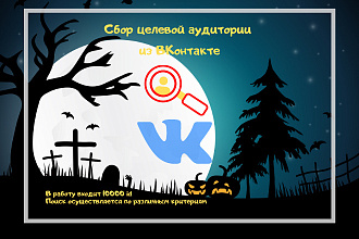 Парсинг и фильтрация целевой аудитории ВКонтакте