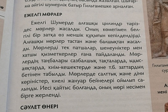 Напишу любую статью