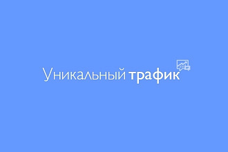 Уникальный трафик на сайт