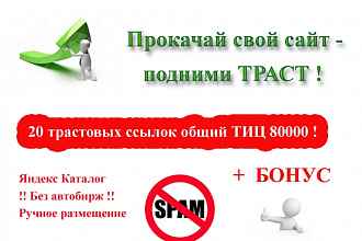 20 трастовых ссылок общий ТИЦ 80000 + 6 бонусных ссылок