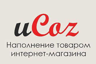 Ручное наполнение интернет-магазина uCoz - 100 товаров, недорого