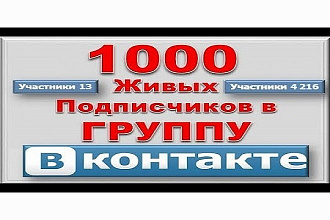Привлечение 1000 живых подписчиков в группу ВКонтакте