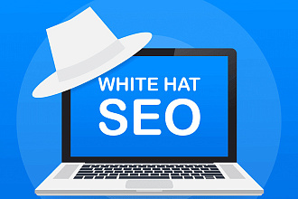 SEO продвижения сайта в ТОП под ключ. Опыт более 8 лет