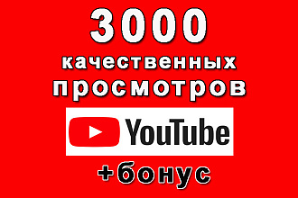 3000 качественных просмотров видео для YouTube+бонус