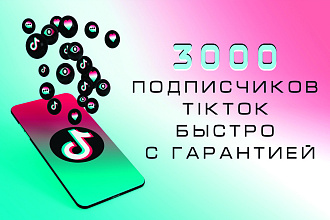 3000 подписчиков TikTok быстро и с гарантией