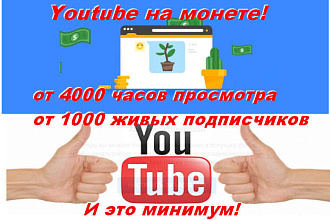 Выведу Ютуб канал на монету