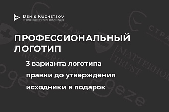 Профессиональный логотип, правки до утверждения, 3 варианта