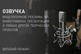 Озвучка вашего видео, текста, IVR и других творческих проектов