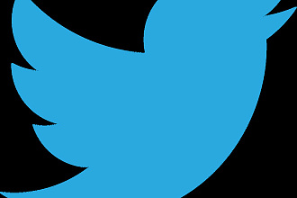 1700 Подписчиков на ваш аккаунт twitter