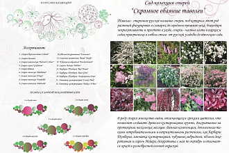 Проект цветника, сада-коллекции