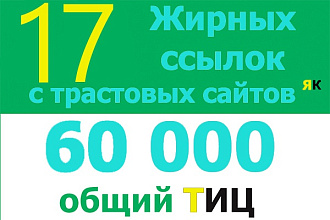Поставлю 17 вечных жирных ссылок с трастовых сайтов ТИЦ 60 000