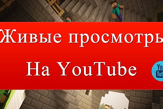 500 реальных просмотров + 500 лайков от реальных людей
