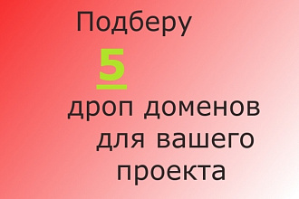 Подберу 5 дроп доменов для вашего doorway проекта