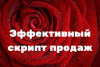 Сделаю скрипт, сценарий, продаж