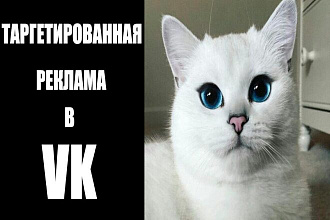 Настройка таргетированной рекламы