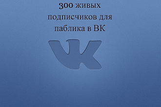 300 подписчиков на паблик Вконтакте, без ботов и программ