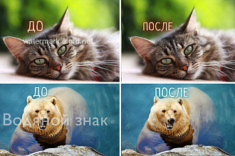 Удалю водяной знак