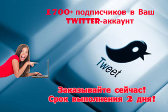 1700 подписчиков в ваш аккаунт Twitter