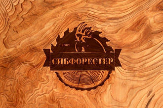 Уникальные логотипы