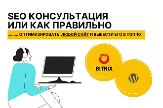 Консультация по разработке сайта, SEO