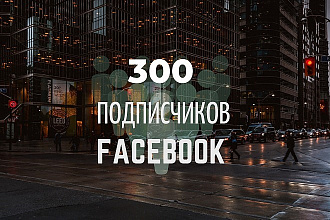 300 Подписчиков в паблике на Facebook