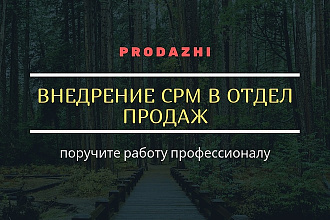 Внедрение в отделе продаж бесплатной СРМ системы