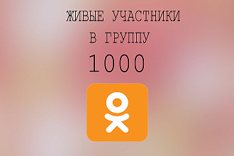 1000 участников в группу +бонус 200 классов