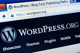 Создам сайт на WordPres под ключ