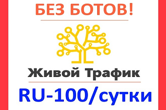 Живой трафик 100+ человек ежедневно. Без ботов. Гео - РФ