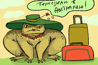 Нарисую и разработаю растровую иллюстрацию