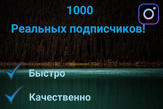 1000 реальных подписчиков