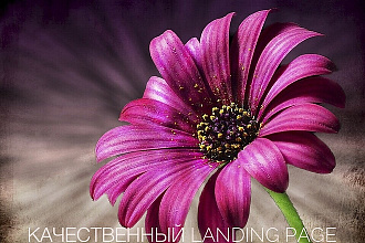 Скопирую или Создам Landing page