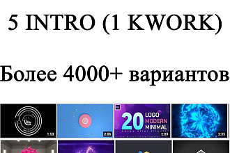 5 logo Intro за 1 услуга Быстро