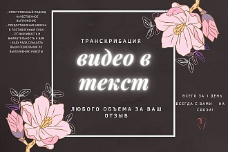 Переведу видео в текст